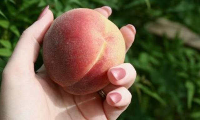 最近可是吃桃子的季节 水蜜桃,黄桃~ 哗啦啦都上市了, 可你知道怎么剥