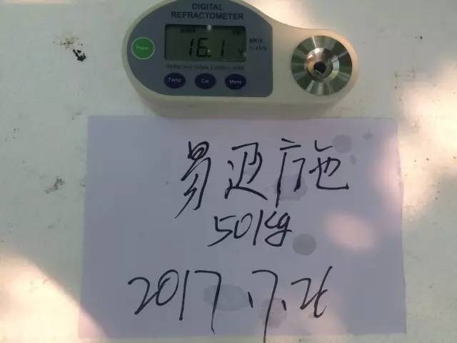 易迈施50kg