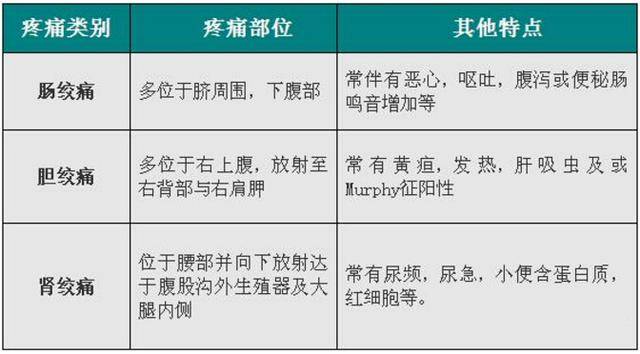 腹部压痛点示意图图片