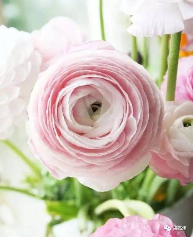 【IOS\/安卓】苹果版迅雷内测版安装