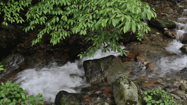 湍流,水是从海拔五千多米高山留下的山涧清泉