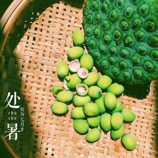 多吃清热安神的食物 处暑节气宜食清热安神的食物,如银耳,百合,莲子