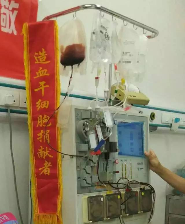 入院后的四天里,她每天早晚要各接受一次动员剂注射,促进造血干细胞从