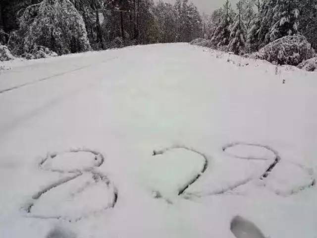 昨天内蒙古下了一场雪,刷爆了朋友圈!