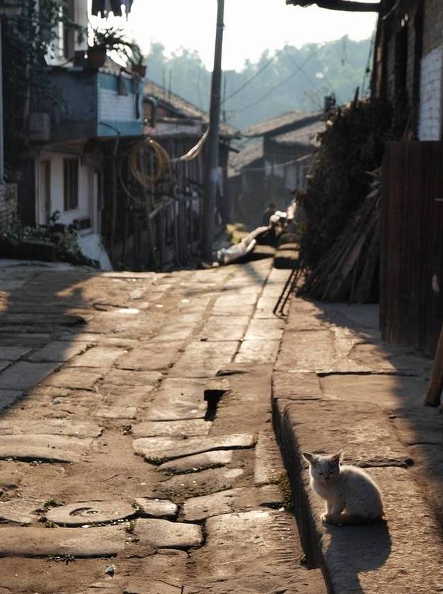 自贡市富顺县赵化镇