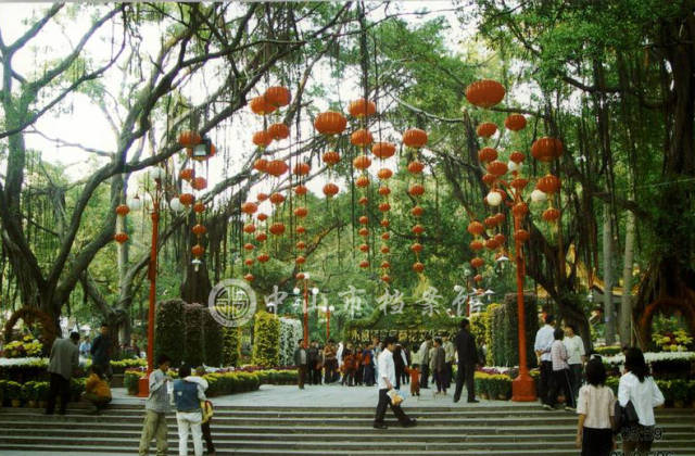小榄人民公园,它的"前世今生"你了解吗?