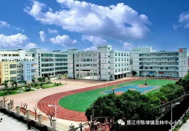 龙林中心小学图片