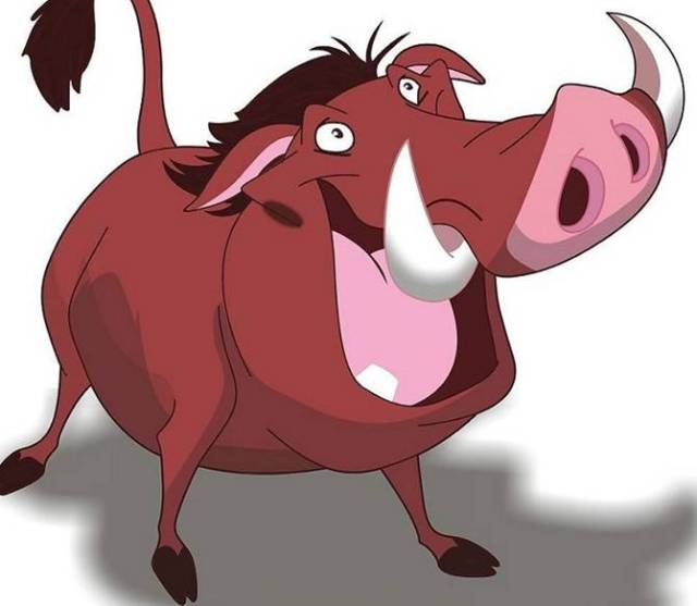 龙广电驻村工作队扶贫日志10抓猪进行时