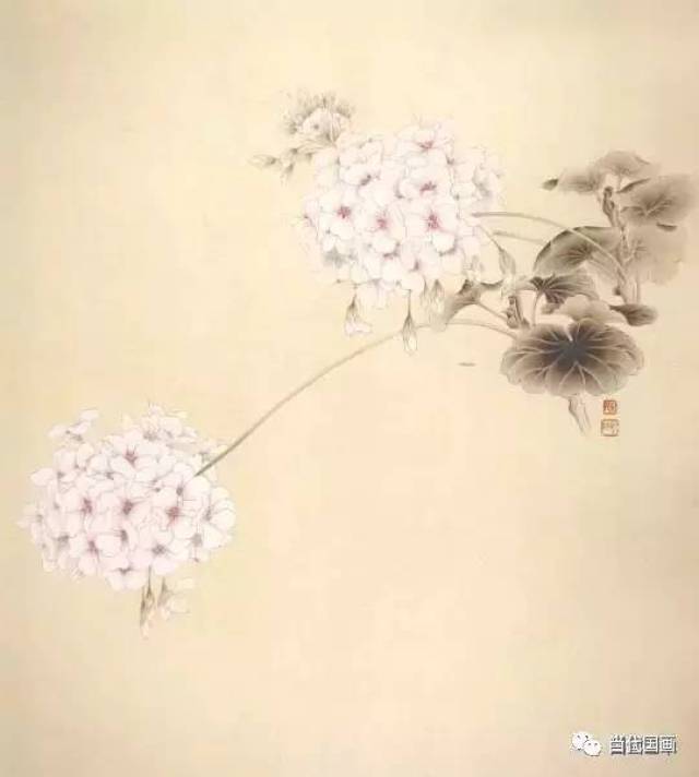 李长白工笔花卉欣赏