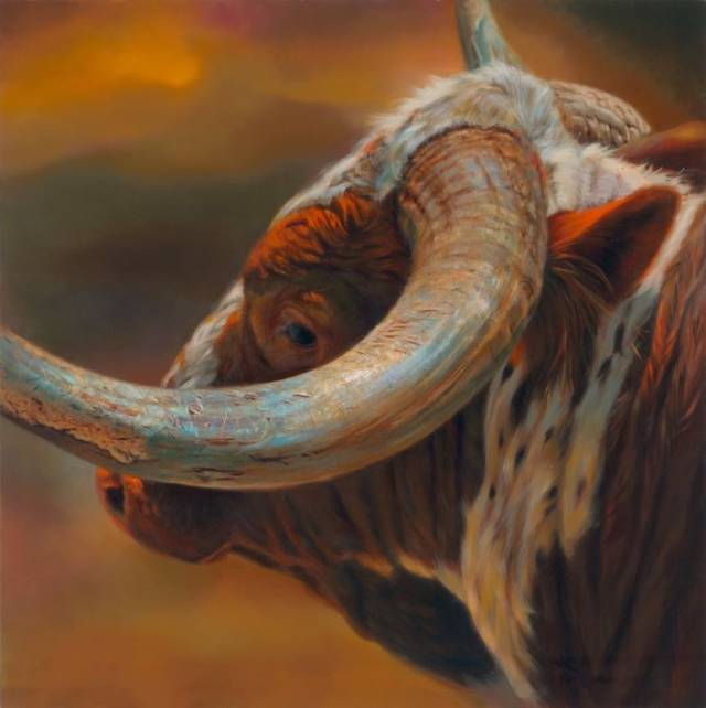 美国画家 teresa elliott 油画作品欣赏 - 牛!