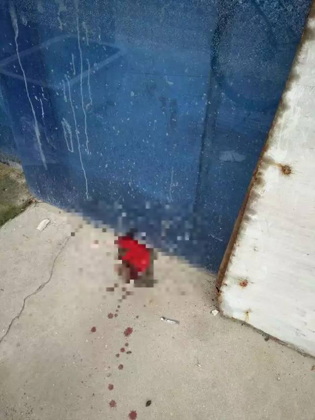 周边:保定一幼童从5楼坠落后不幸去世_手机搜狐网