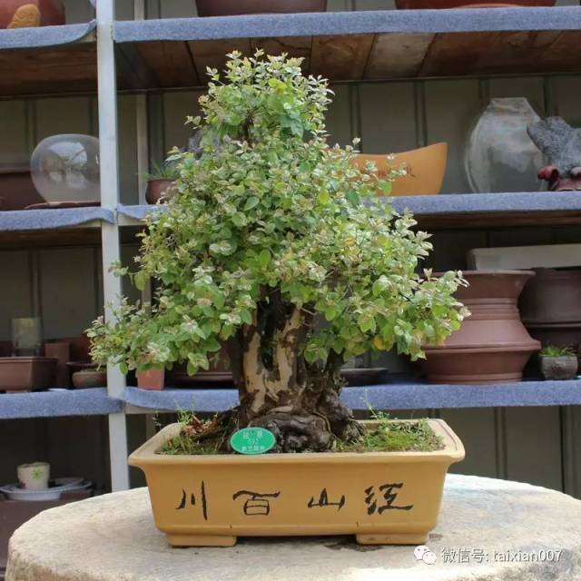 非标定制加工：推动制造行业创新升级