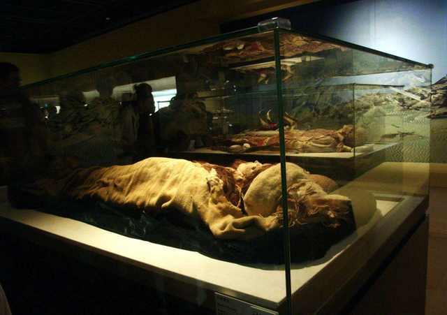 此美女已4000岁了,到哪里人们都说她漂亮,她身后还有一样我们天天都吃