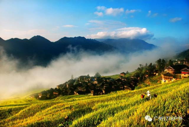【金秋梯田】9月1晚-3日 多彩黔东南 行走肇兴侗寨 加榜梯田深度游