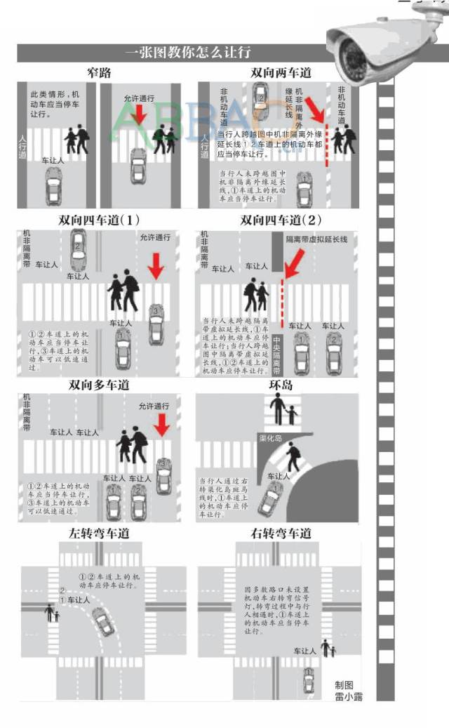 礼让行人怎么处罚图片