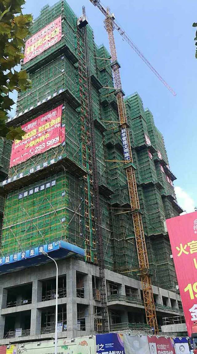 金秋已至,感受幸福"家"速度 | 金钟大雁城8月份工程进度播报
