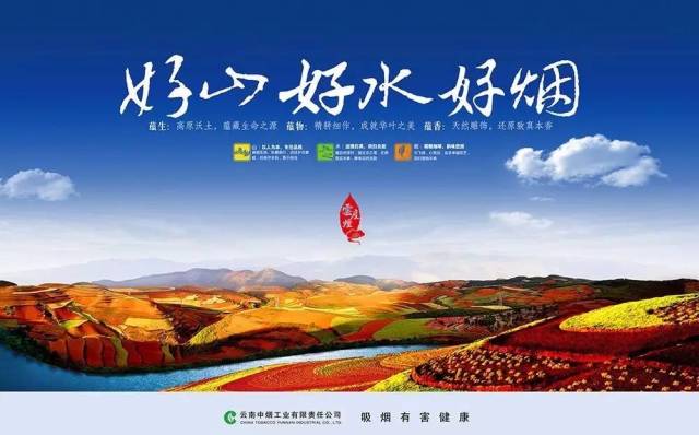 把云南带回家,好山,好水,好烟