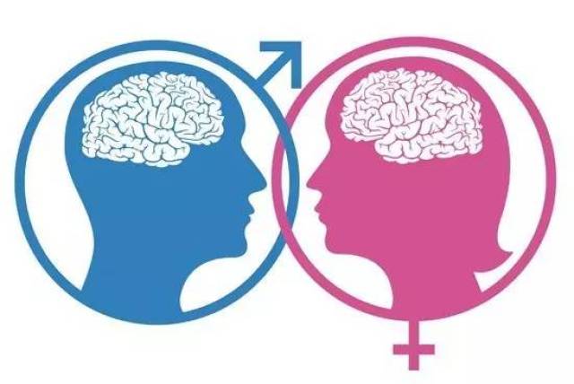 男性和女性的大脑真的不同吗?