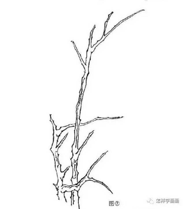 国画描梅花画谱基本绘画技巧