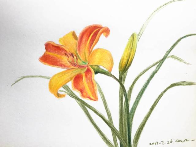 课程| 教你画一手好看的彩铅画