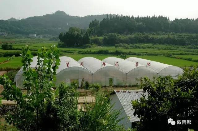 南部人欢呼吧,望月村荣登"2017四川百强名村"榜单