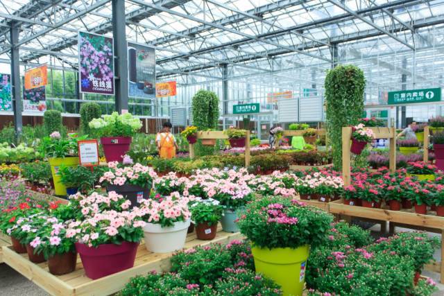 虹越61园艺家第21家花园中心即将开业