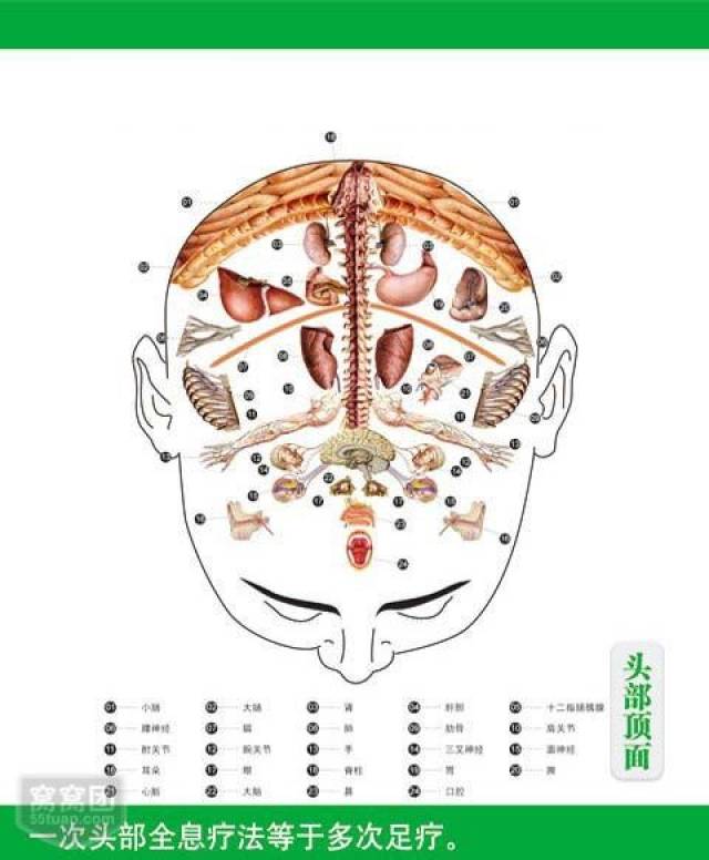 全息头疗的十大益处