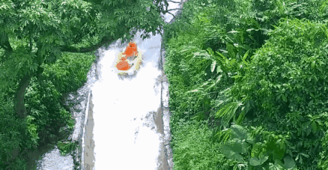 530_276gif 动态图 动图