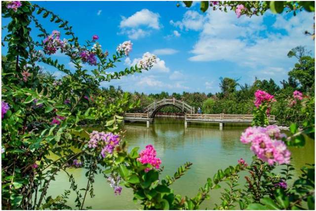 邵陽人最近千萬不要去紫薇公園,我也是剛剛知道的.