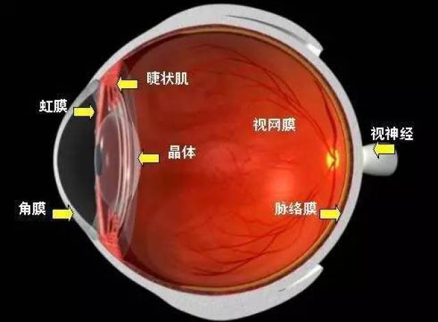 警惕!伤害眼角膜的4大隐形杀手 每个人都要当心