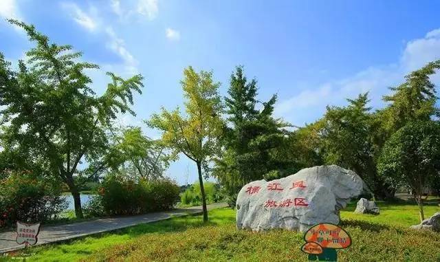 江心洲,它是镇江最乡村的地方,这里的农庄深藏着美食和爱,秋色征服