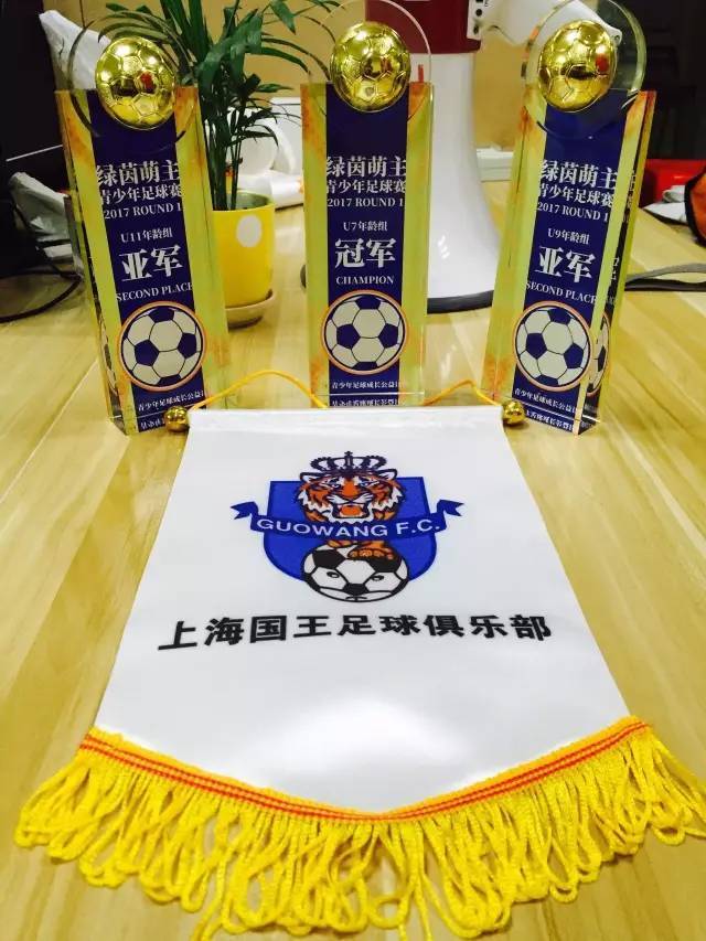 足球精英队u7u9u11分别斩获绿茵萌主青少年足球赛一枚金牌两枚银牌