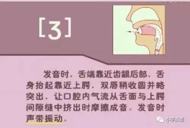 零基础入门,巧学英语音标发音,告别哑巴英语(含