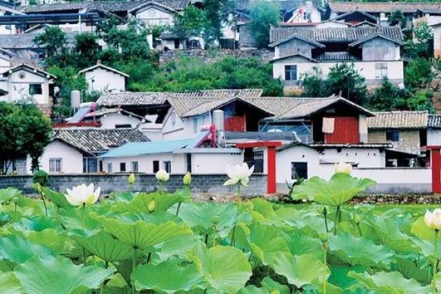 海门桥村位于玉溪市抚仙湖西南岸,环抚仙湖公路,贯穿全境,交通便利.