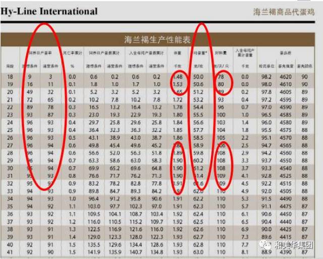 京红蛋鸡产蛋性能表图片