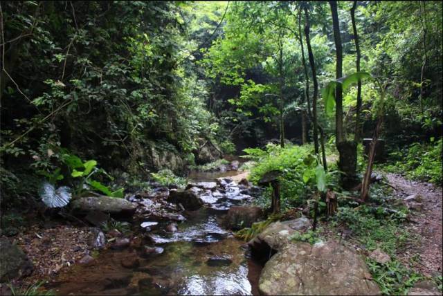 鹿寨拉沟景区图片