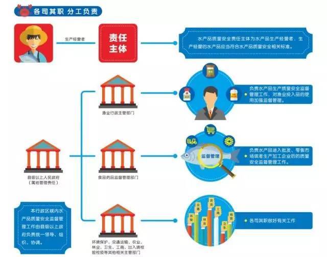 职责分工图,示意图,流图_大山谷图库