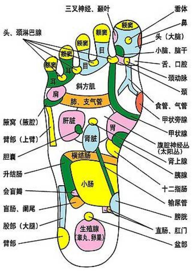 高血压不用吃药,按按这里就解决!