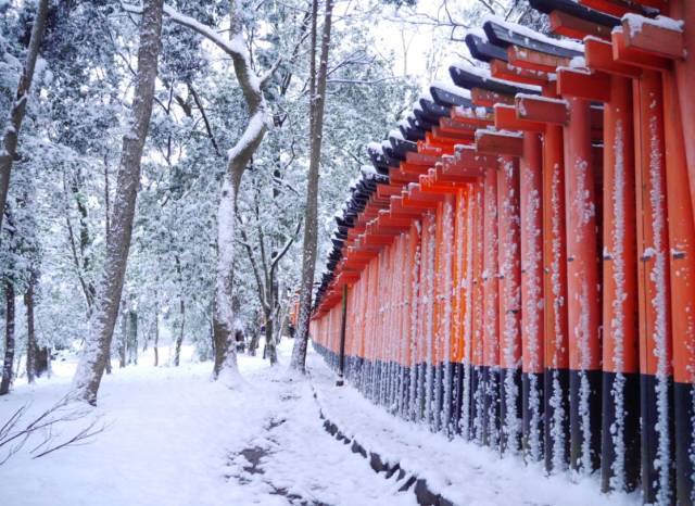 京都雪,又过樱花第几桥