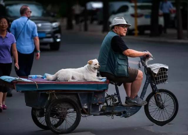 这样骑电动三轮车的宁阳人,你肯定认识!太害人了!
