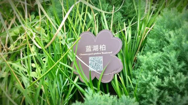 公园就在小区里,这样的园林,更懂生活_手机搜狐网