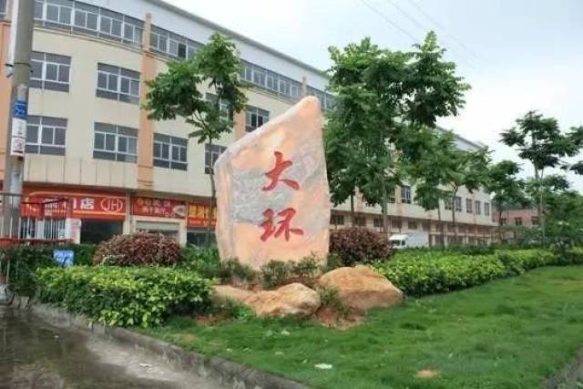 又一件值得大岭山人骄傲的事情!