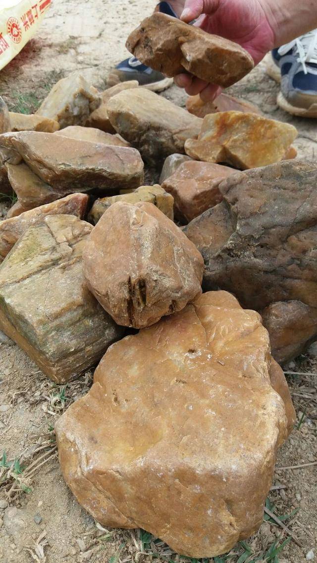 周末长坡北门江畔捡石头