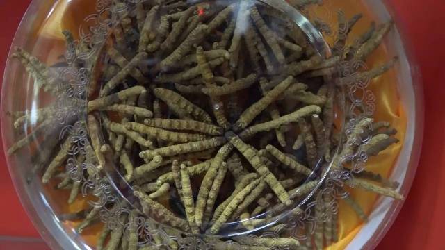 辨别真假冬虫夏草的三种途径,形,色,味.