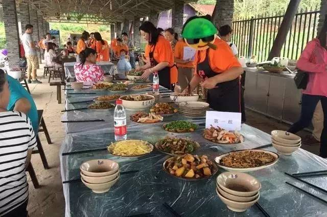 四季轮回，乡村故事不断：乡村生活的四季之美