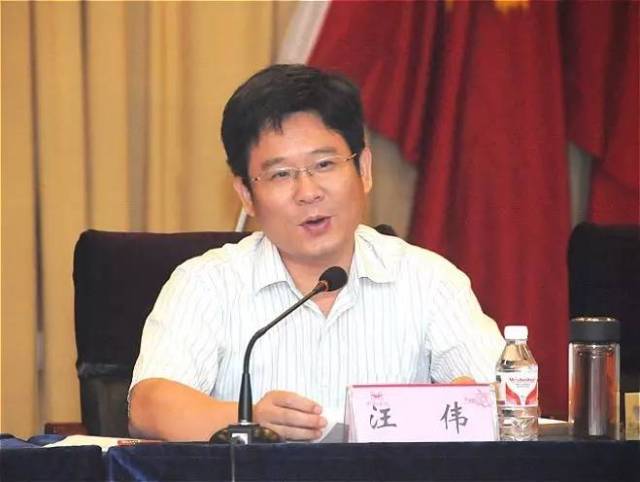 宜昌市委常委,组织部长汪伟讲话
