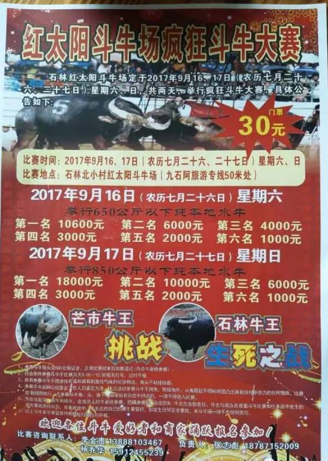 贵州近期斗牛赛事海报图片