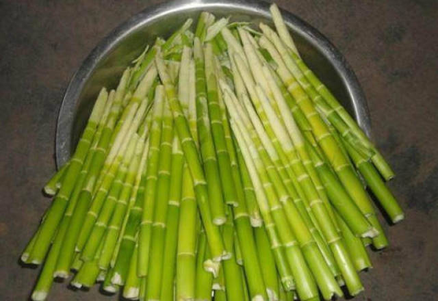 花壳笋,小时候每逢初春的