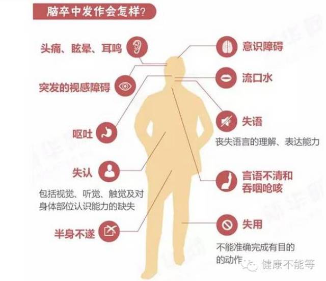 康健之道纳豆激酶警惕患上脑血栓的7个前兆