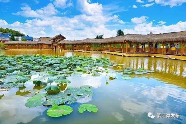 贵州省播州区南白镇杨柳村.